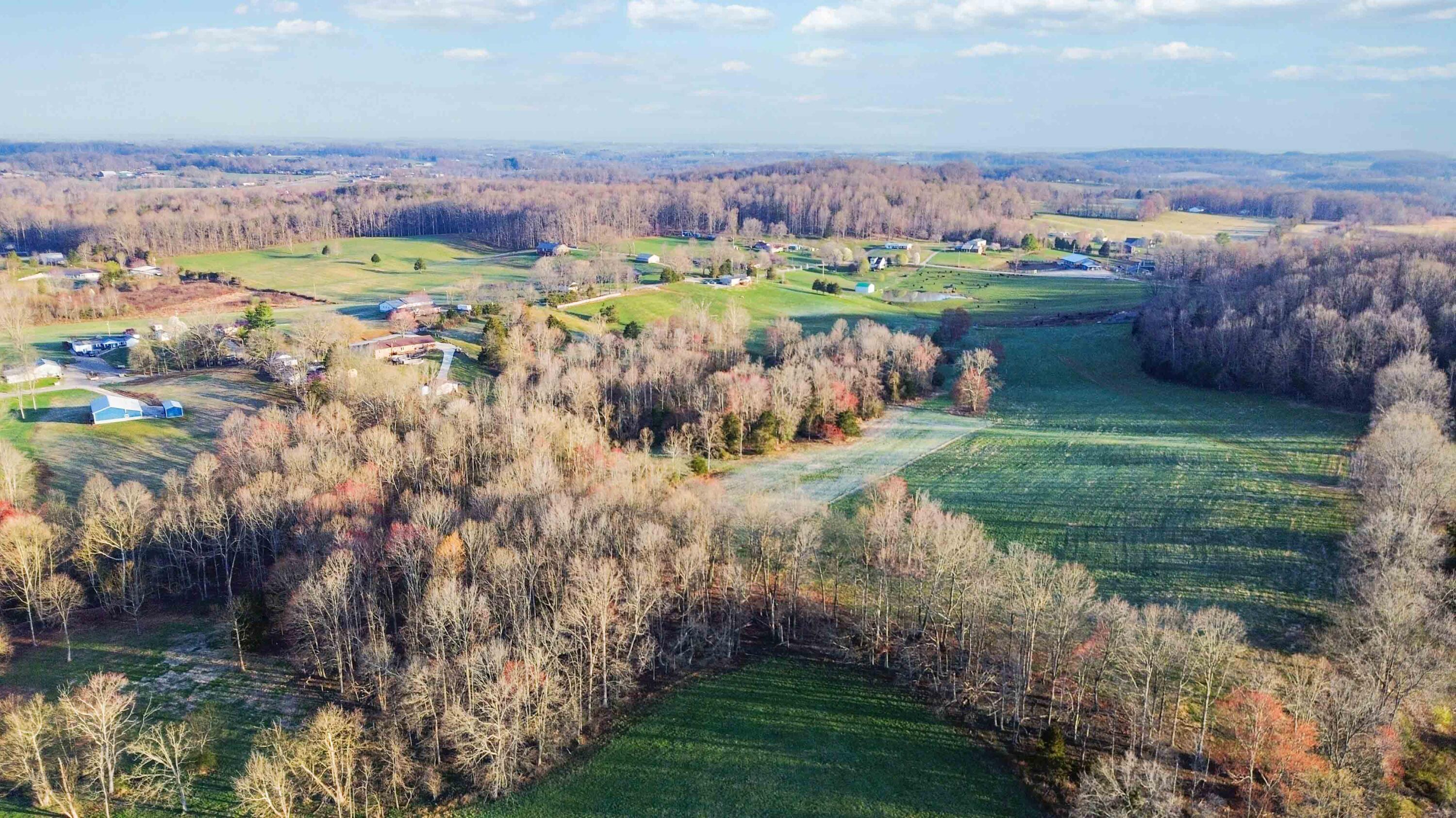 999 East Todd Road Science Hill, KY 42553 - Photo 12 of 17 005