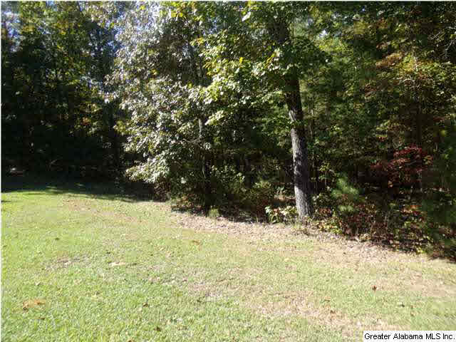 22680 Eastern Valley Road McCalla, AL 35111 - Photo 5 of 14