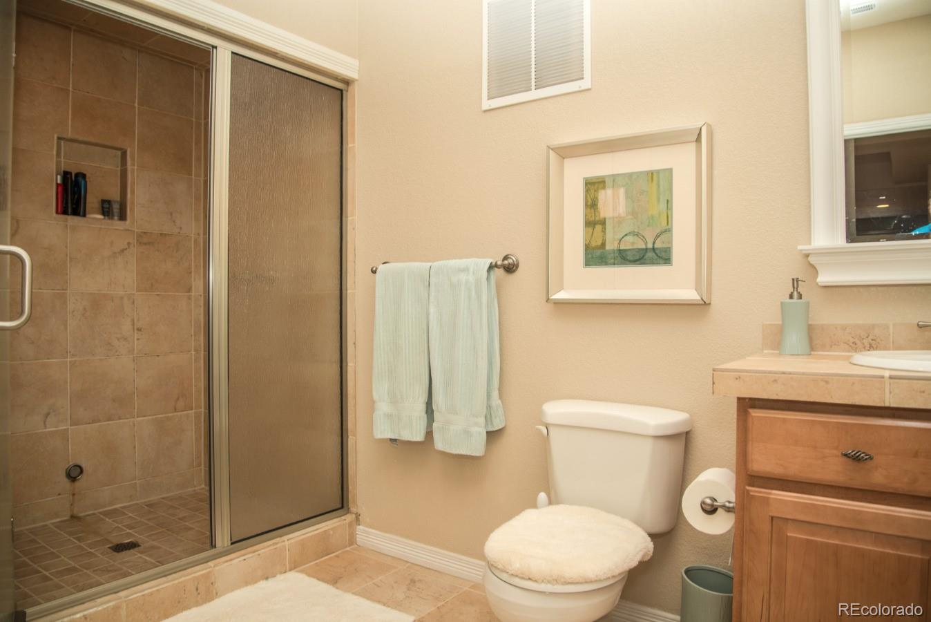 2382 Antelope Ridge Trail Parker, CO 80138 - Photo 29 of 35