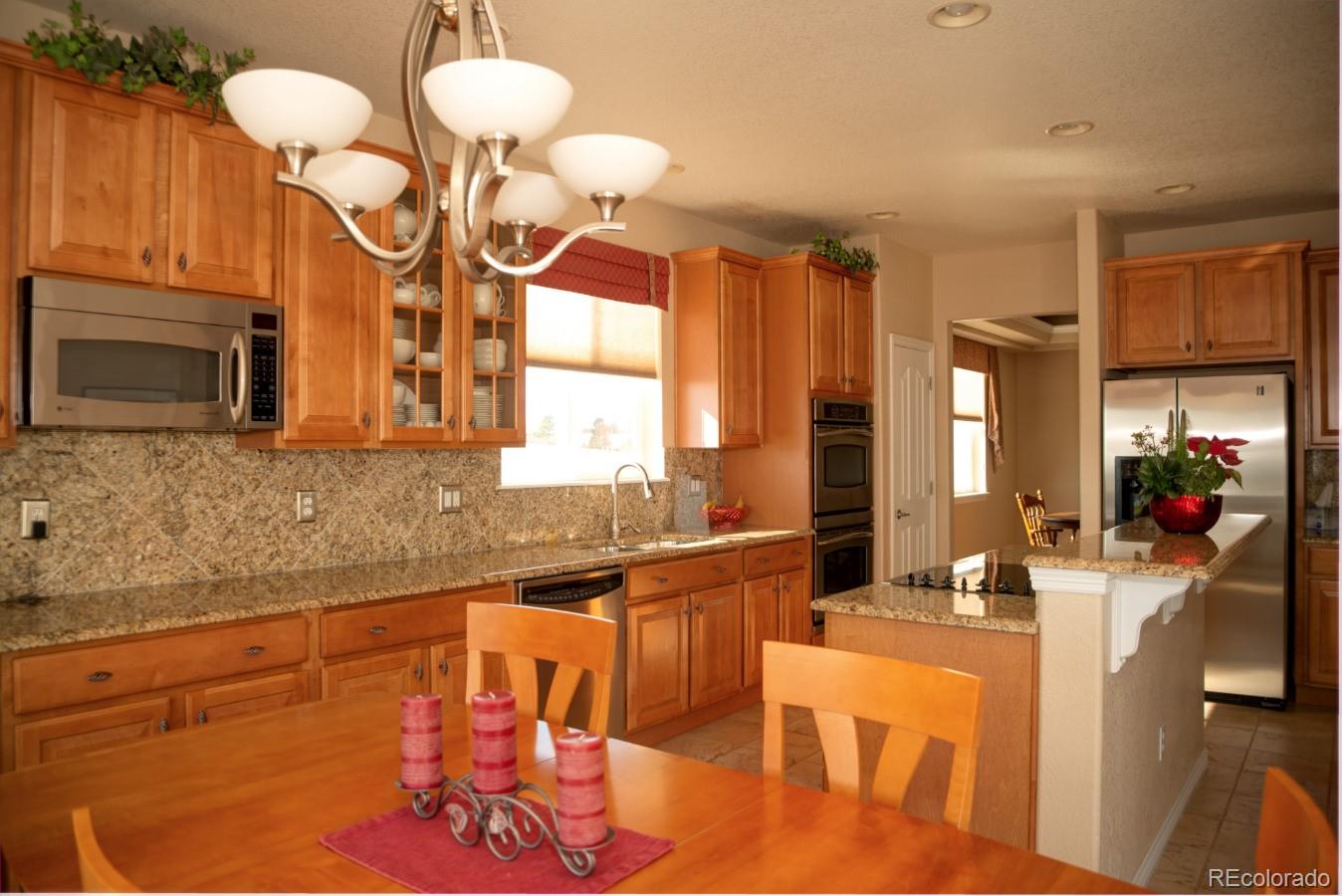 2382 Antelope Ridge Trail Parker, CO 80138 - Photo 9 of 35