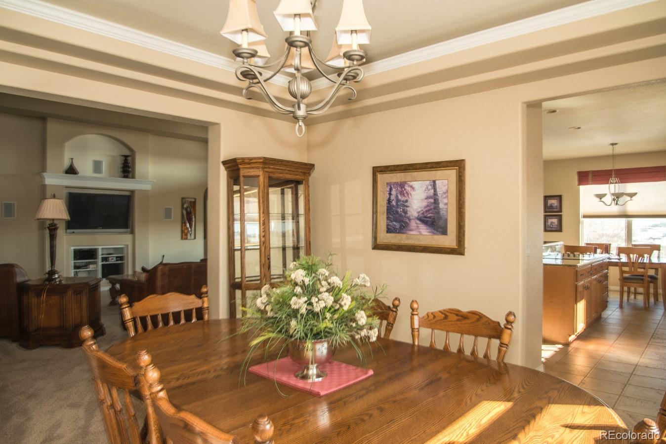 2382 Antelope Ridge Trail Parker, CO 80138 - Photo 10 of 35