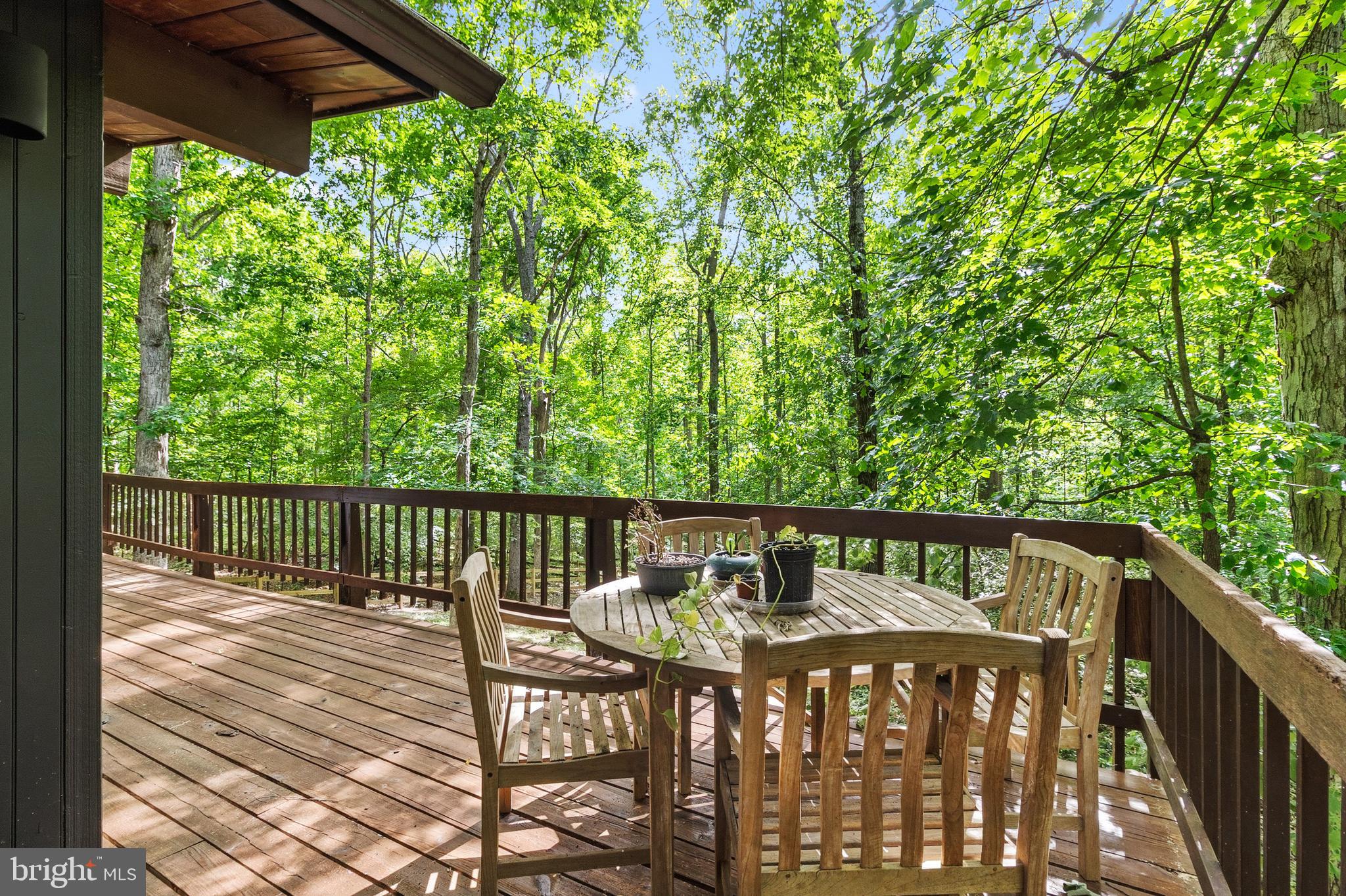 10815 Cross School Road Reston, VA 20191 - Photo 14 of 48 Deck off screened porch