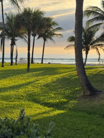 a view of an ocean from a yard
