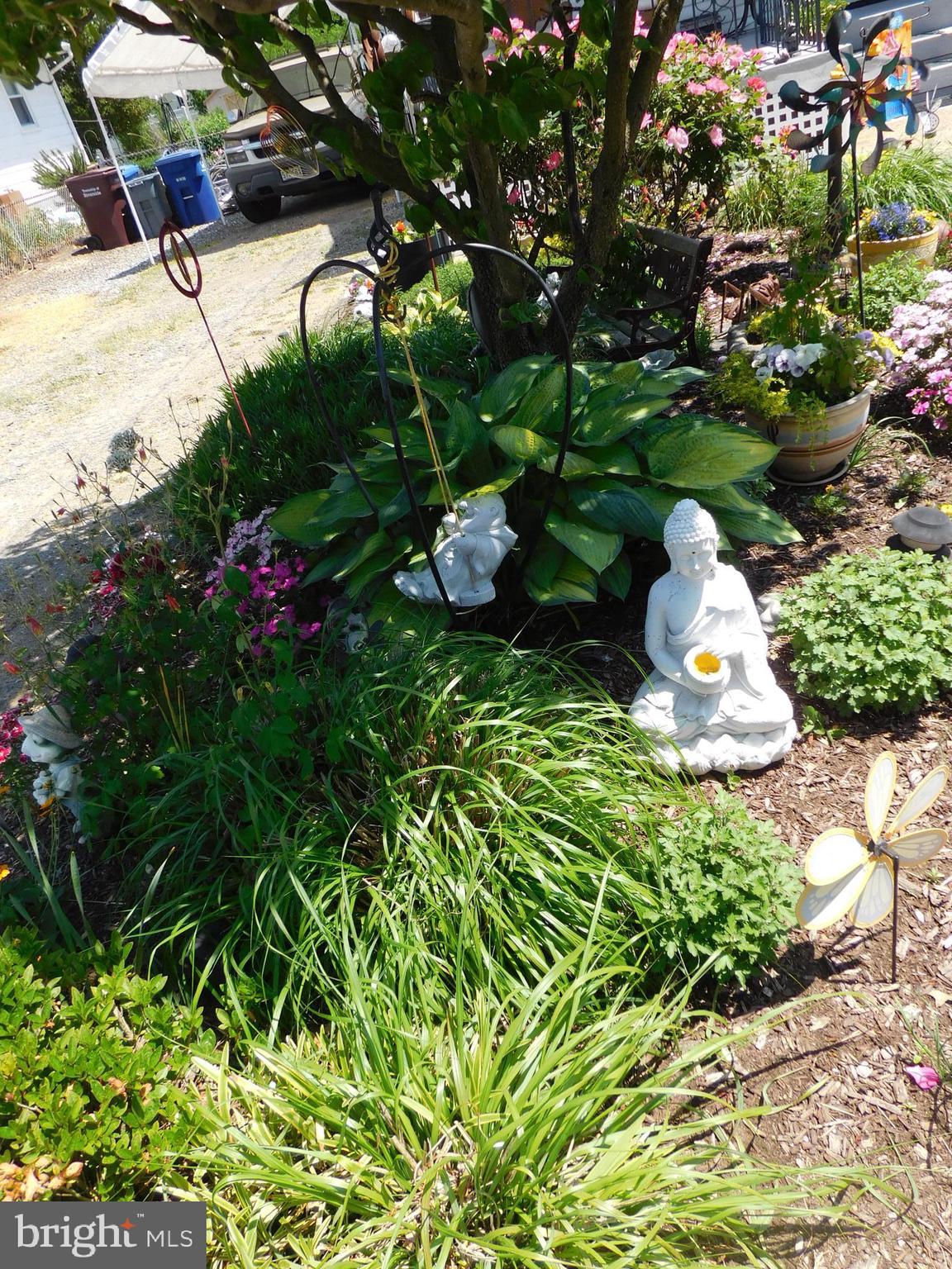 415 Lippincott Avenue Riverside, NJ 08075 - Photo 22 of 60 ponds