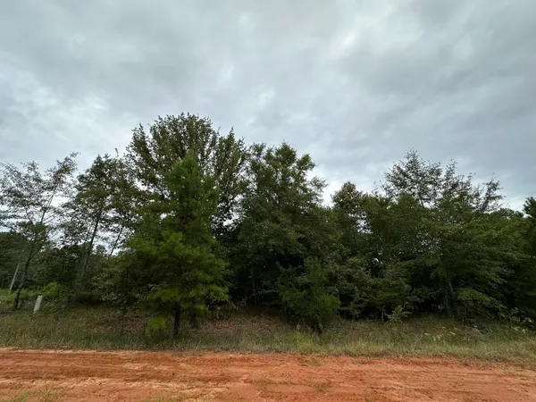 $14,000 | 36 Nelson Court, Louisville, GA 30434