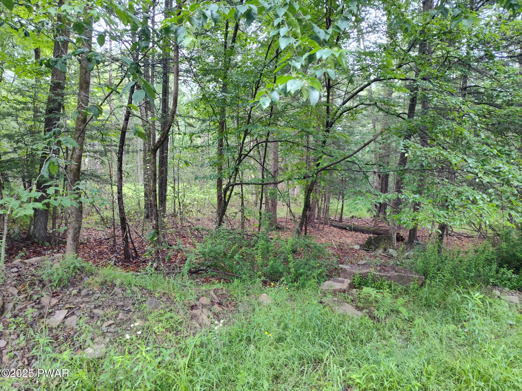 Lot 109 Aka) Gibralter Road Newfoundland, PA 18445 - Photo 4 of 19