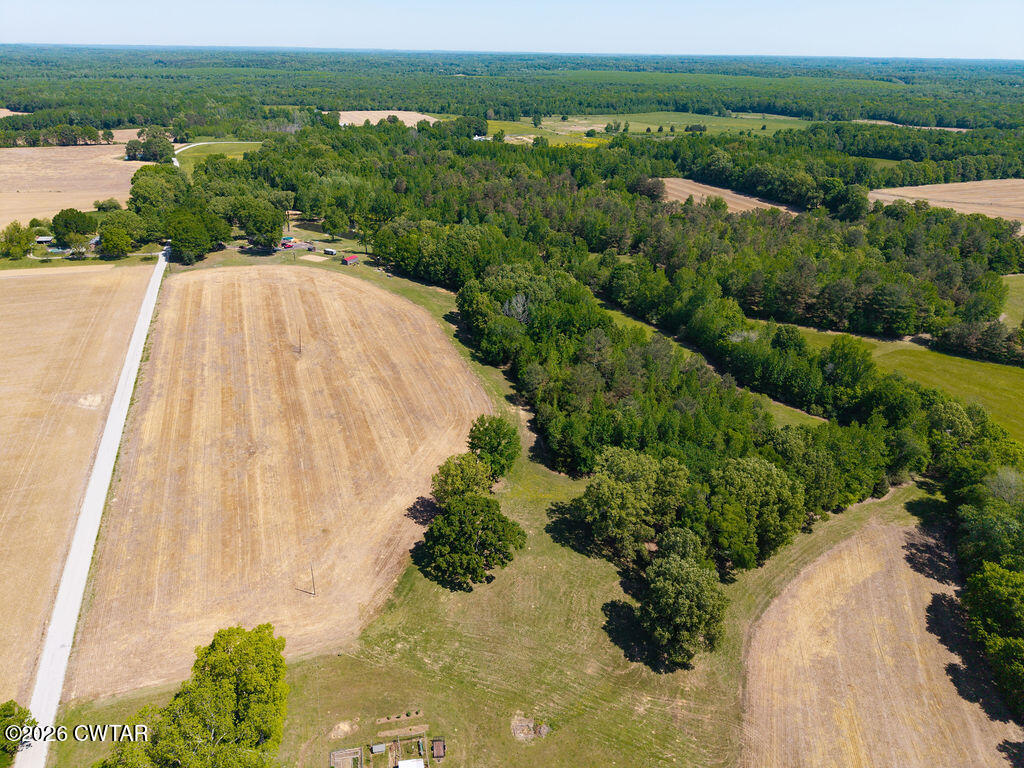 0 Williams Road Henderson, TN 38340 - Photo 15 of 29 a view of a garden with a mountain