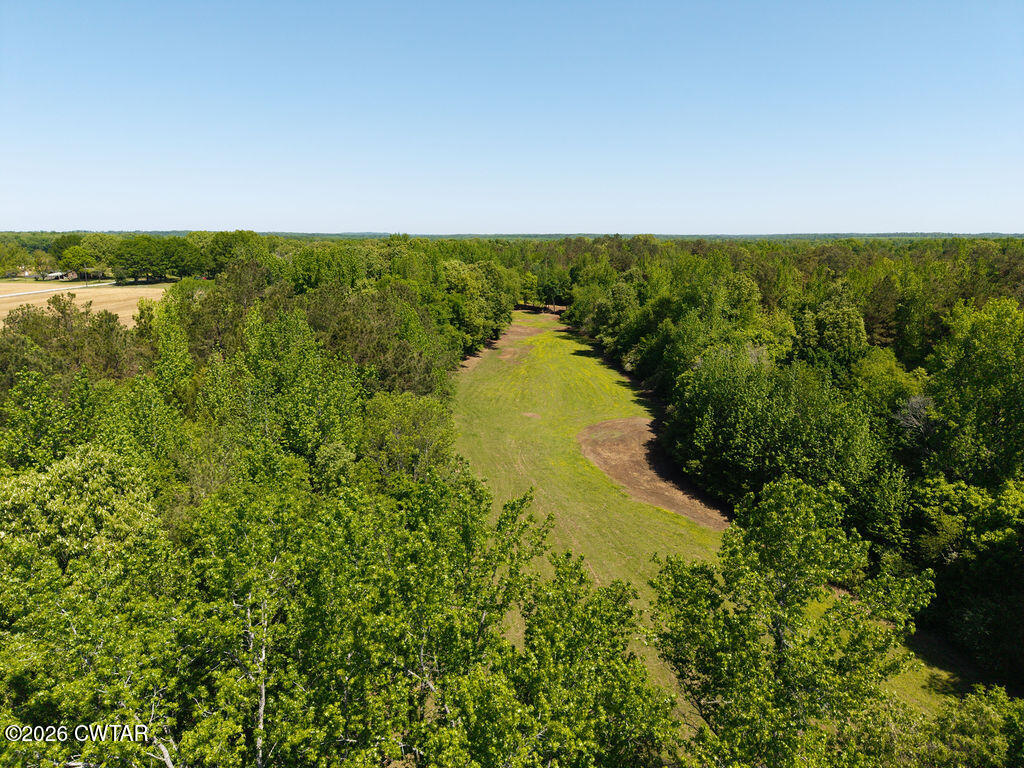 0 Williams Road Henderson, TN 38340 - Photo 20 of 29