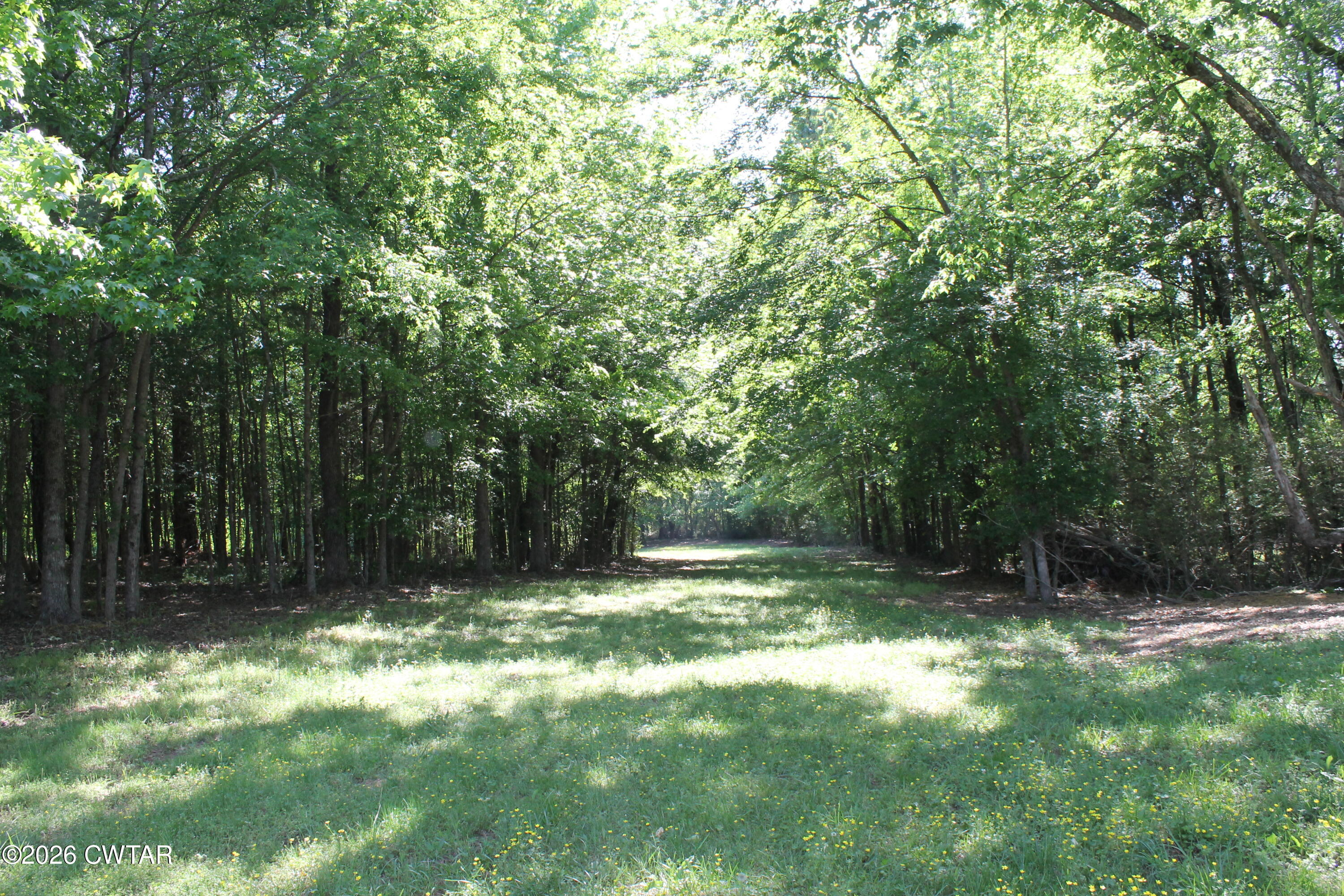 0 Williams Road Henderson, TN 38340 - Photo 2 of 29 a backyard of a house