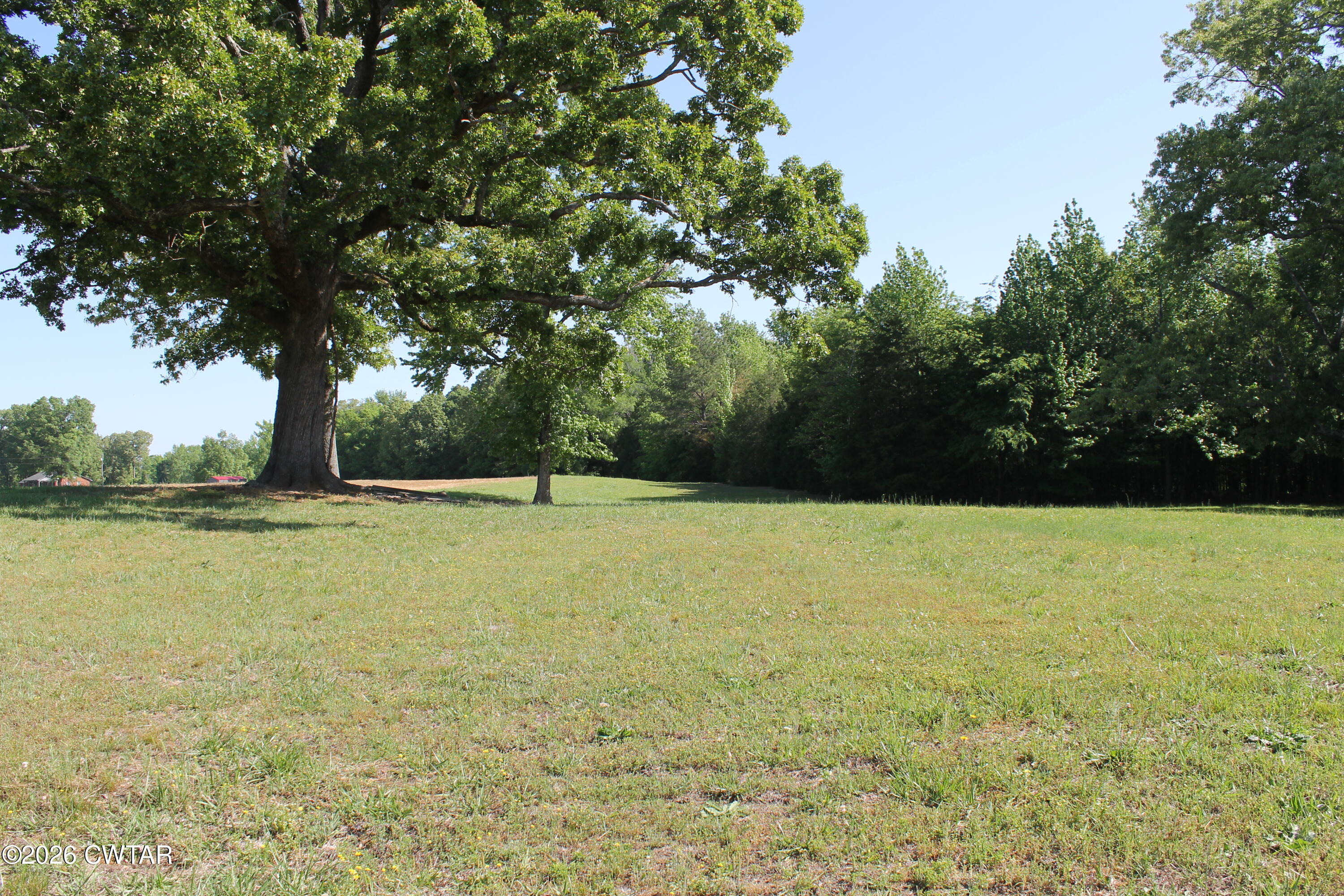 0 Williams Road Henderson, TN 38340 - Photo 22 of 29 a view of outdoor space and yard
