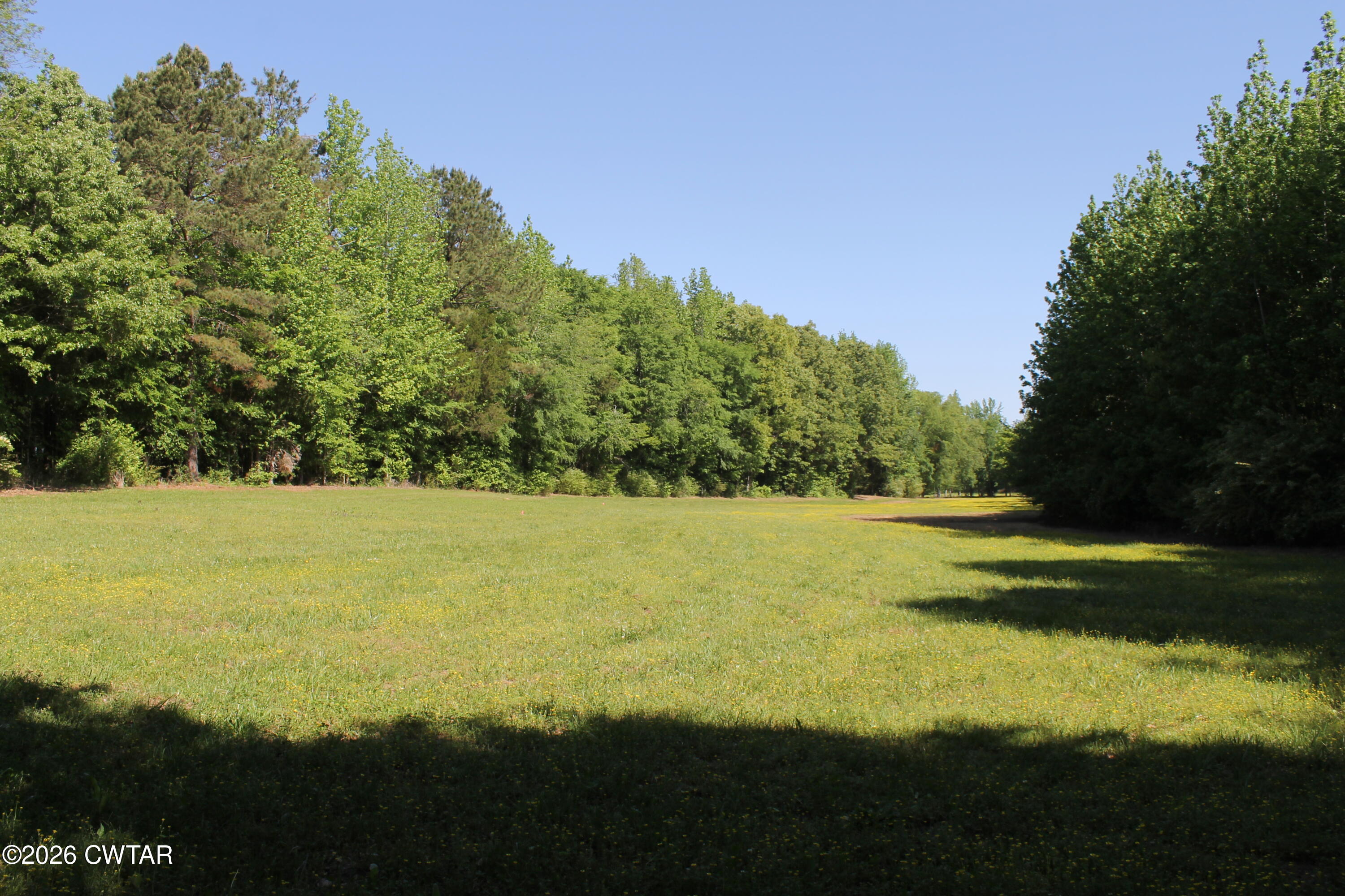 0 Williams Road Henderson, TN 38340 - Photo 25 of 29 a view of an ocean and a yard