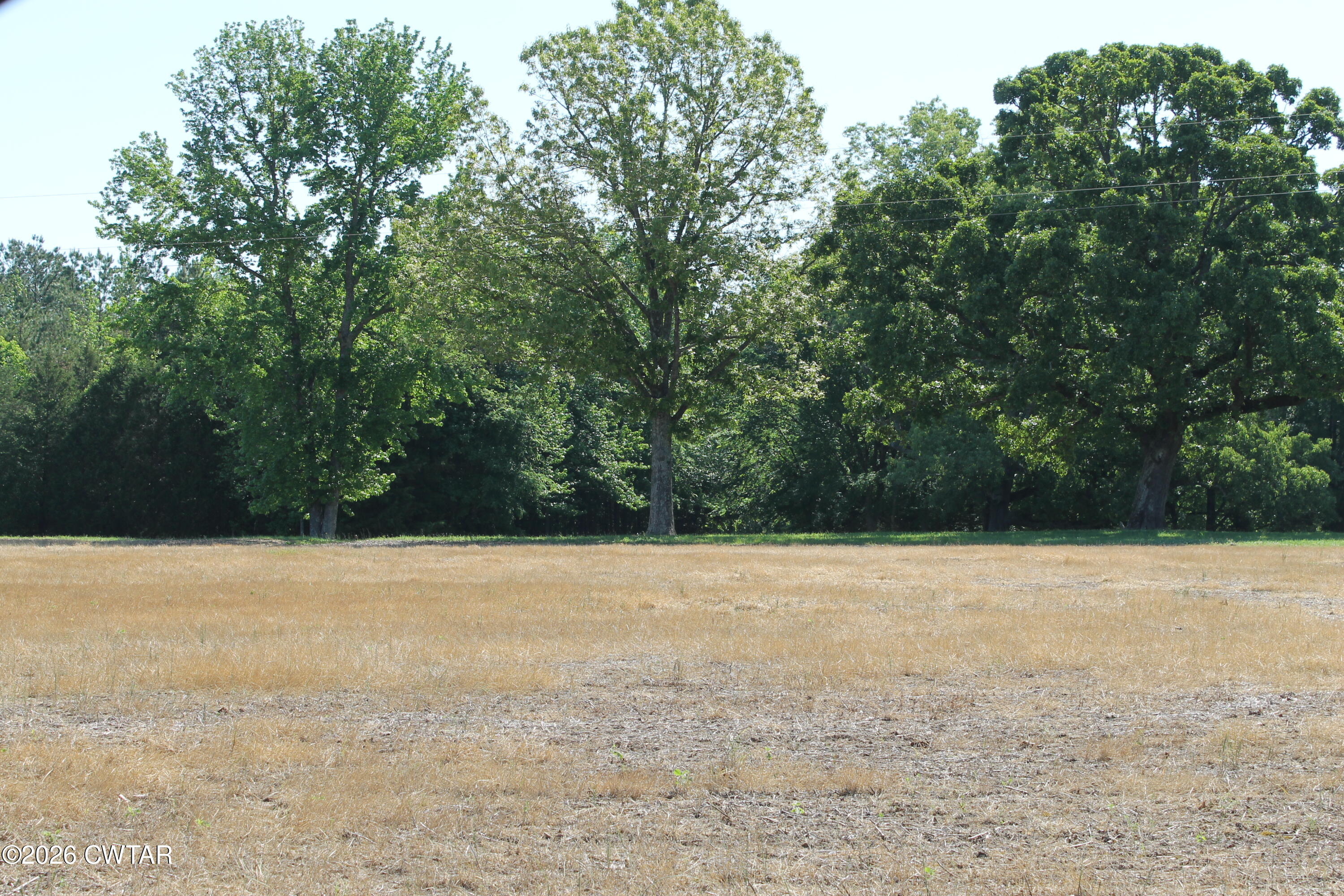 0 Williams Road Henderson, TN 38340 - Photo 26 of 29 a view of open field with trees in background
