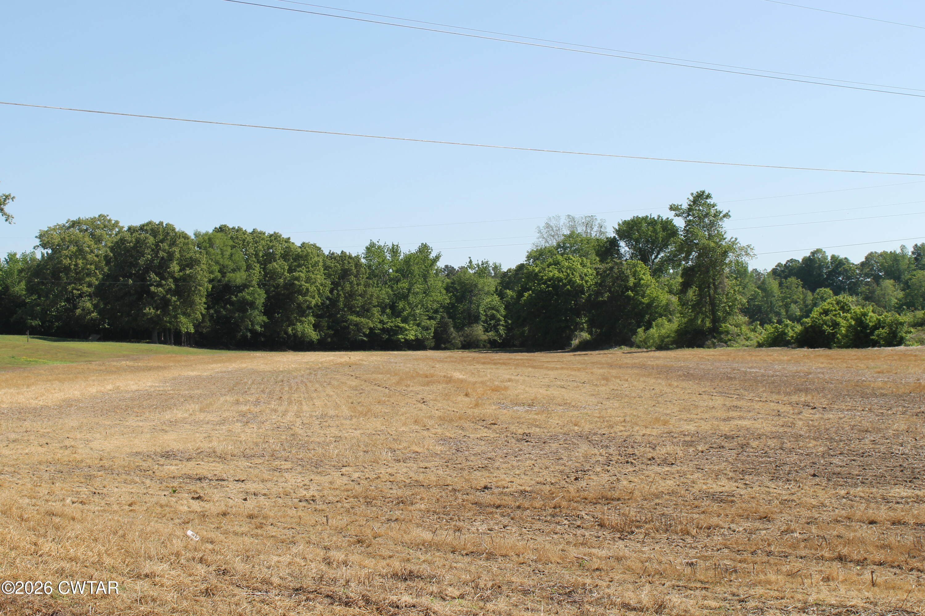 0 Williams Road Henderson, TN 38340 - Photo 27 of 29 a view of a big yard