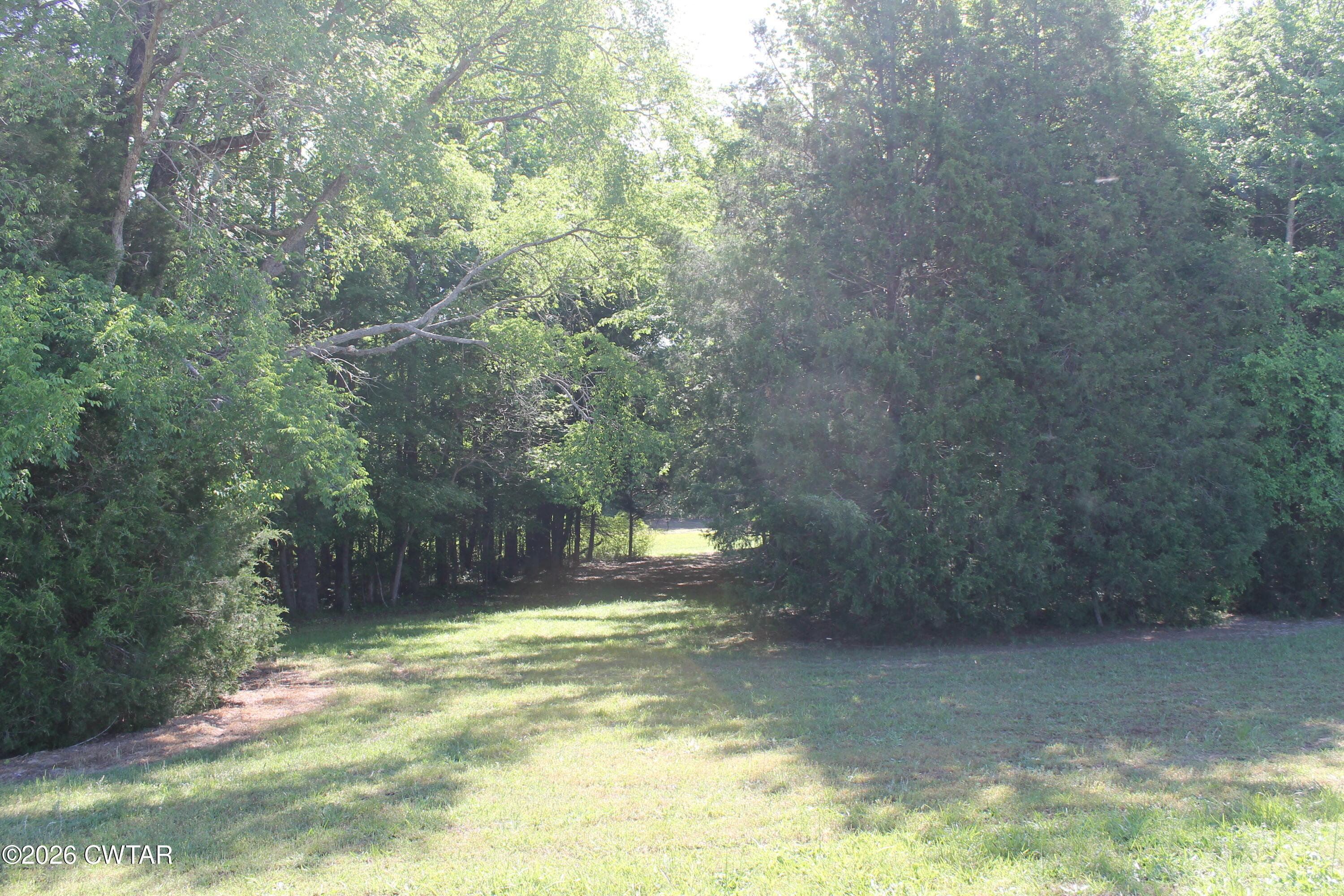 0 Williams Road Henderson, TN 38340 - Photo 5 of 29 a view of a small yard