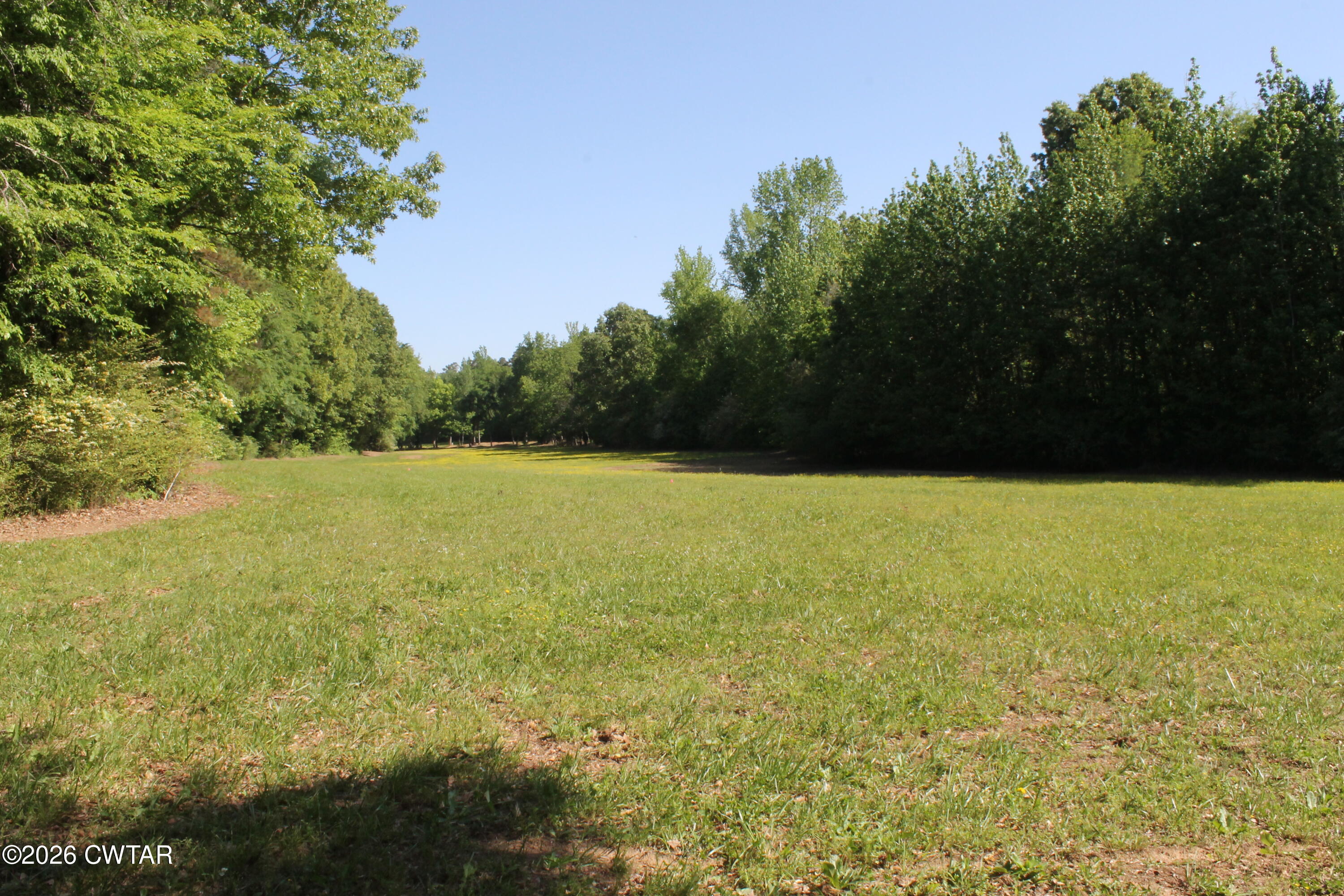 0 Williams Road Henderson, TN 38340 - Photo 6 of 29 a view of yard with swimming pool and trees in the background