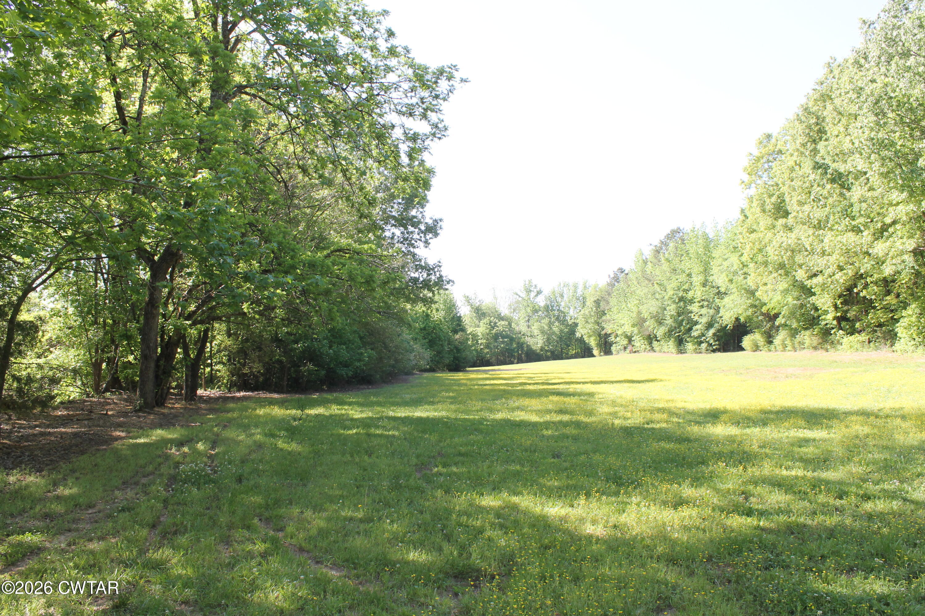 0 Williams Road Henderson, TN 38340 - Photo 7 of 29 a view of an outdoor space with a lake view