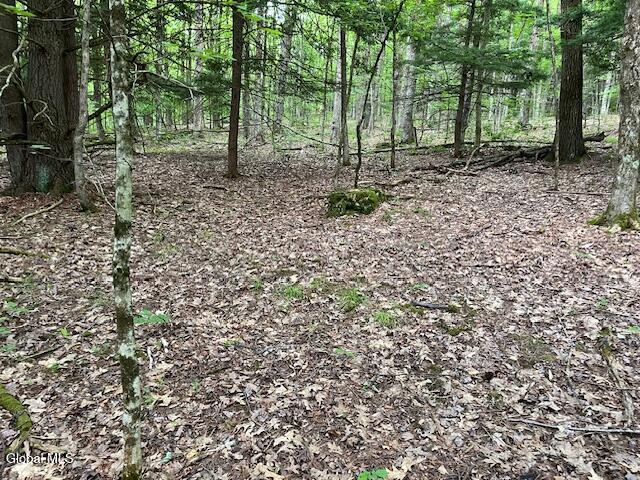 L34 Fred Jensen Road Middleburgh, NY 12122 - Photo 12 of 20 IMG_5698