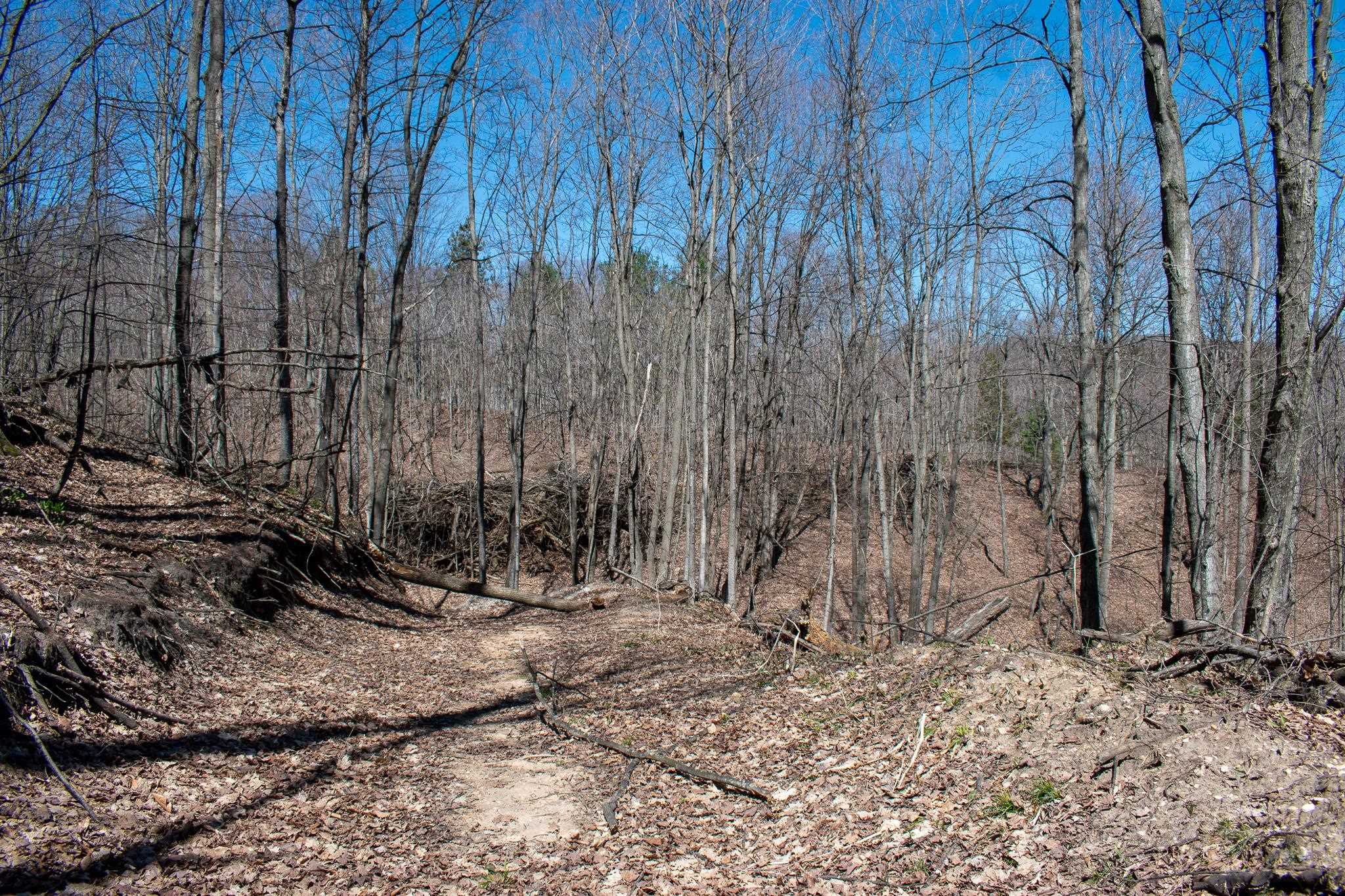 0 East Smiseth Road Suttons Bay, MI 49682 - Photo 32 of 67