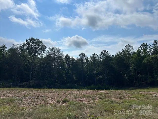 a view of a yard with wooden fence