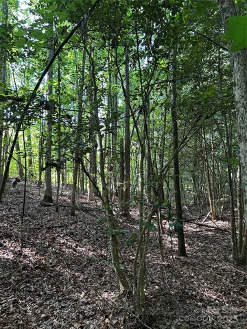 a big yard with lots of green space and trees