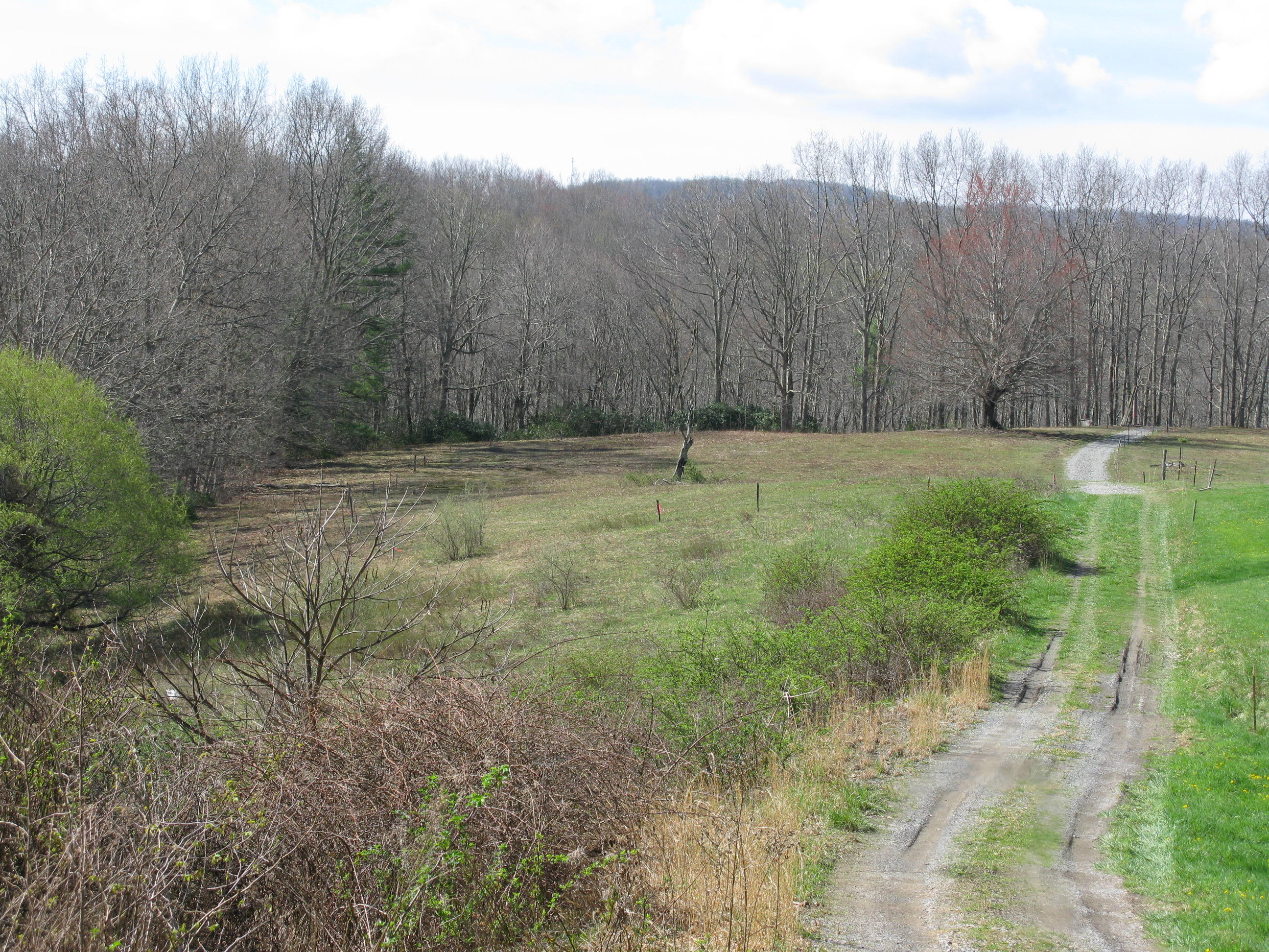 6 St Cool Ridge Cool Ridge, WV 25825 - Photo 3 of 12 Gallery Image 3