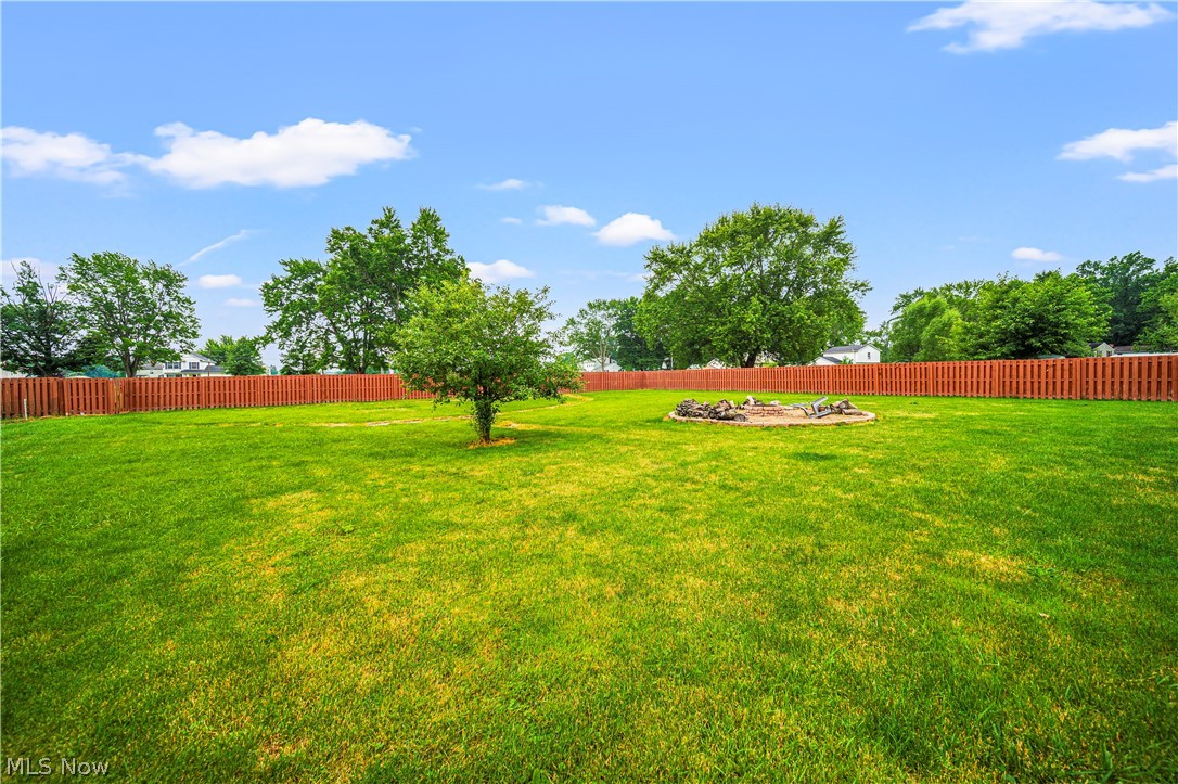 9576 Cloverleaf Road Windham, OH 44288 - Photo 29 of 29 View of yard