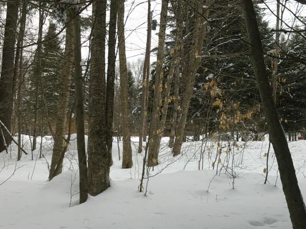 $99,000 | 0 Plot Road, Unit 2, Johnson, VT 05656