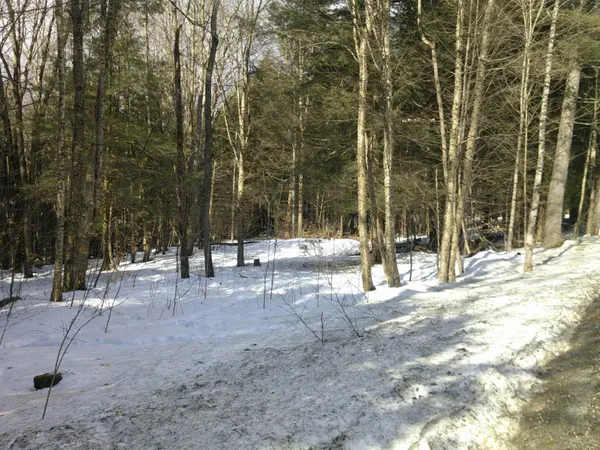$99,000 | 0 Plot Road, Unit 2, Johnson, VT 05656