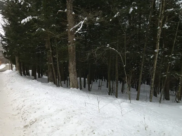 $99,000 | 0 Plot Road, Unit 2, Johnson, VT 05656
