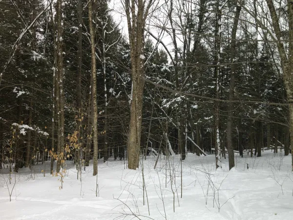 $99,000 | 0 Plot Road, Unit 2, Johnson, VT 05656