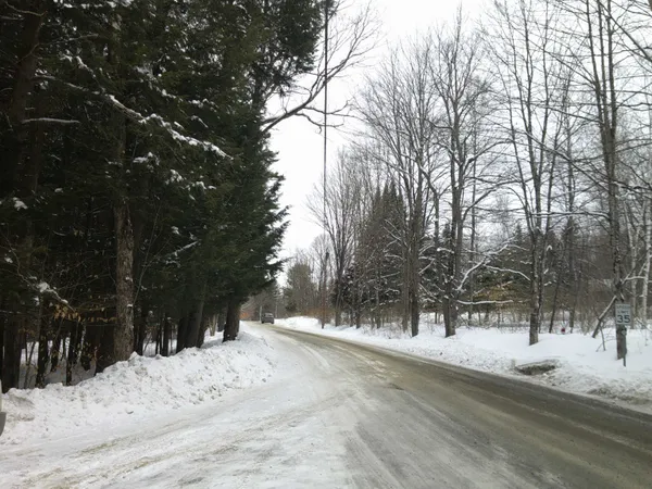 $99,000 | 0 Plot Road, Unit 2, Johnson, VT 05656