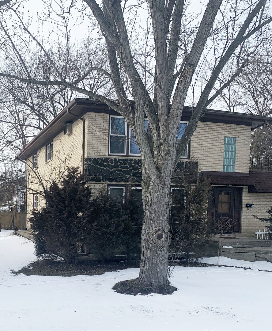 416 South Summit Street, Unit 2 Barrington, IL 60010 - Photo 3 of 13 a tree in front of a white house