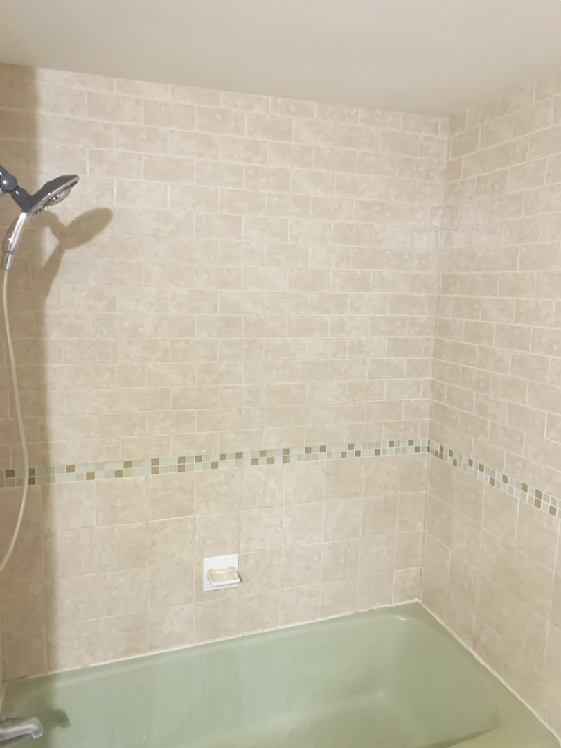 416 South Summit Street, Unit 2 Barrington, IL 60010 - Photo 9 of 13 a bathroom with a shower