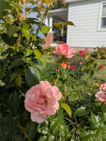 $170,000 | 407 South 1st Street, Hiawatha, KS 66434