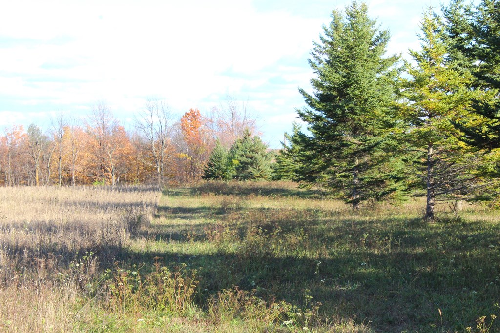S Lot South Lot County Road Sister Bay, WI 54234 - Photo 11 of 13