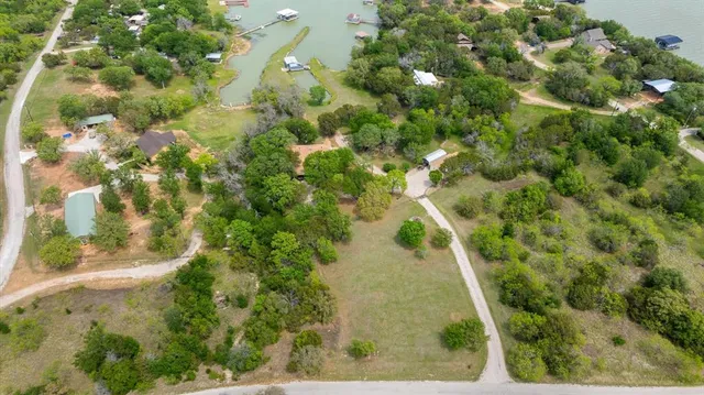 a view of a yard with plants