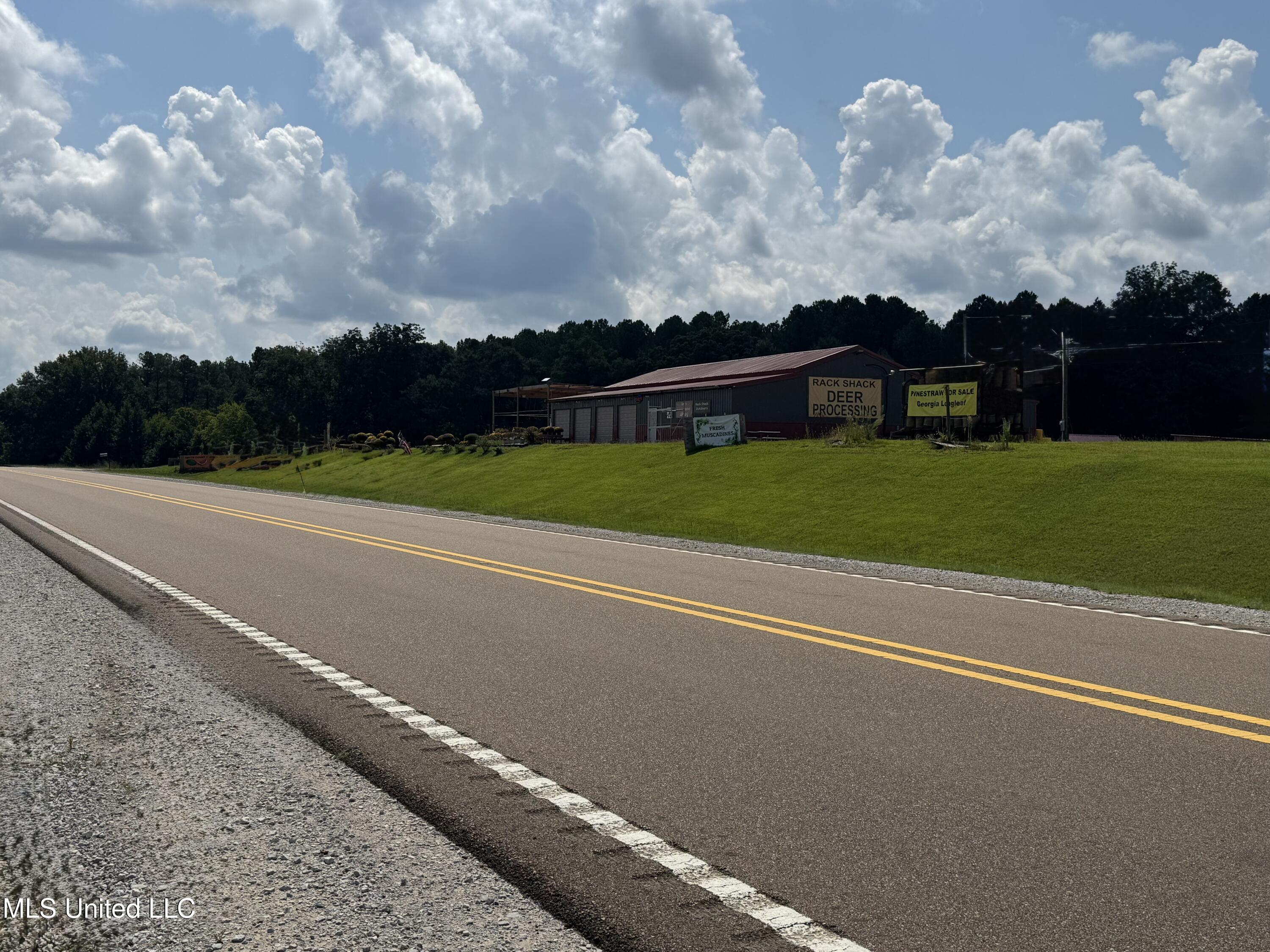 C2 Ms-16 Benton, MS 39039 - Photo 6 of 7 IMG_8894