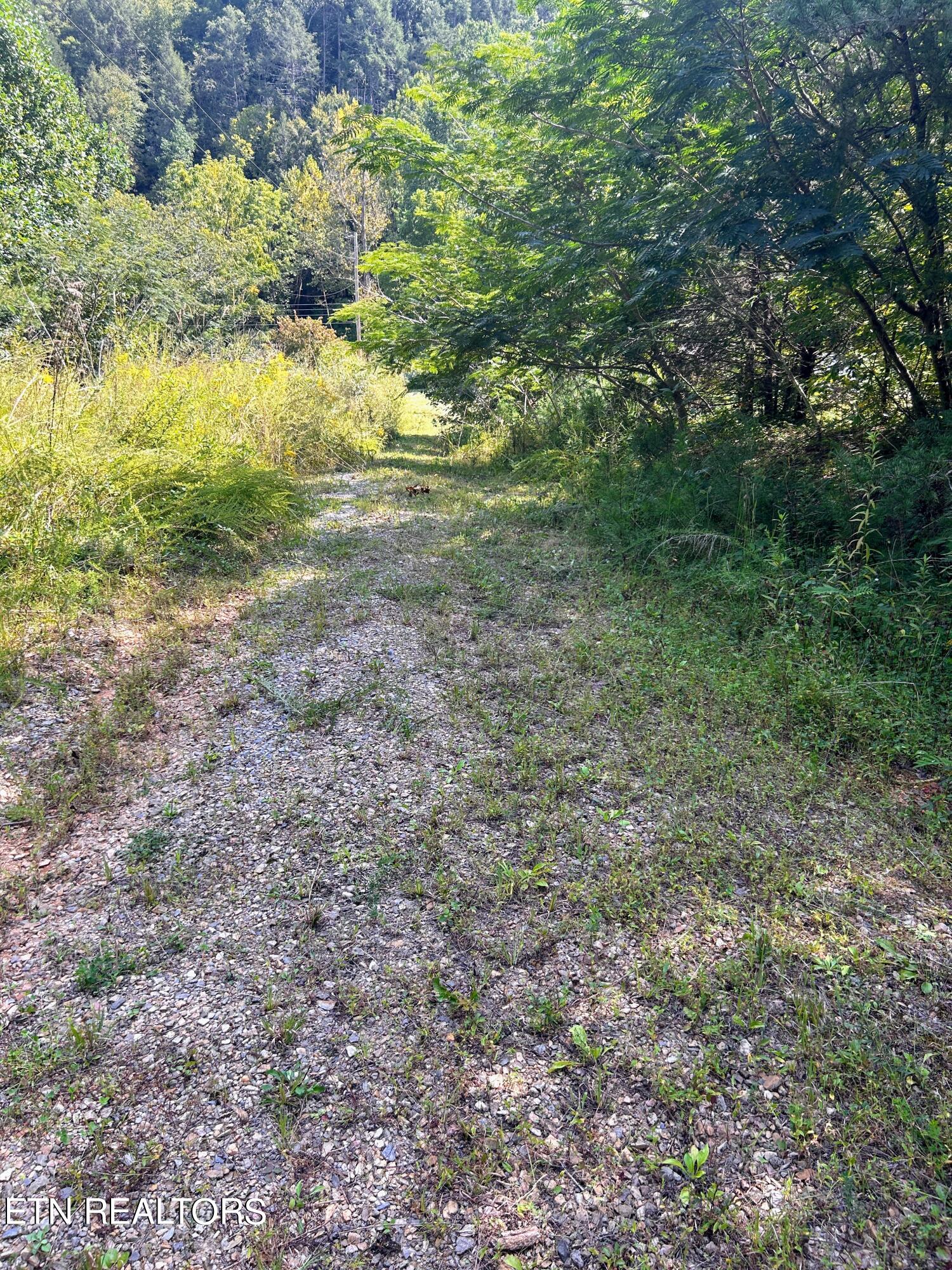 4961 Bogard Road Cosby, TN 37722 - Photo 19 of 20 IMG_1435