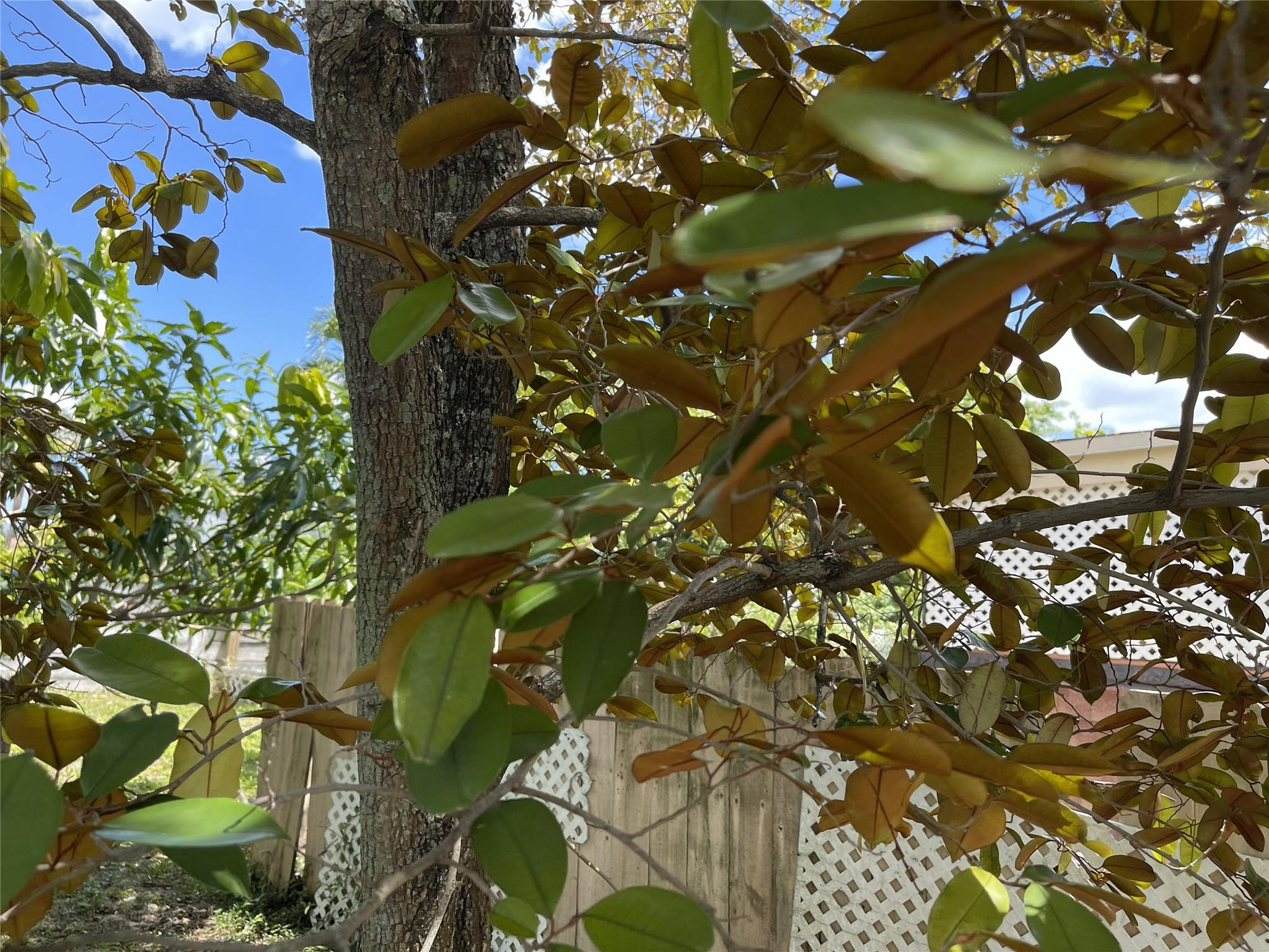 671 Northwest 38th Street Deerfield Beach, FL 33064 - Photo 40 of 49 Photo 40