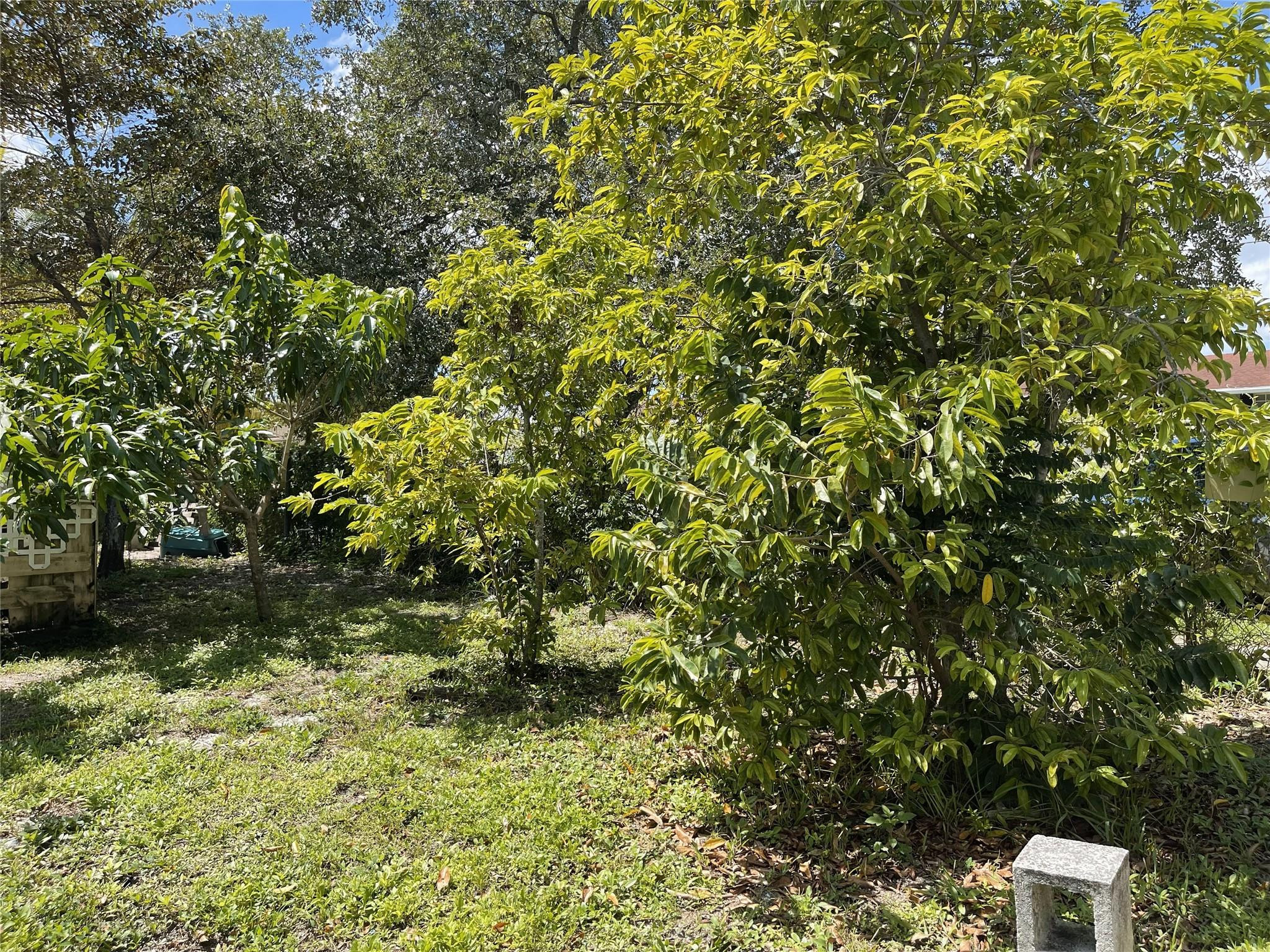 671 Northwest 38th Street Deerfield Beach, FL 33064 - Photo 43 of 49 Photo 43