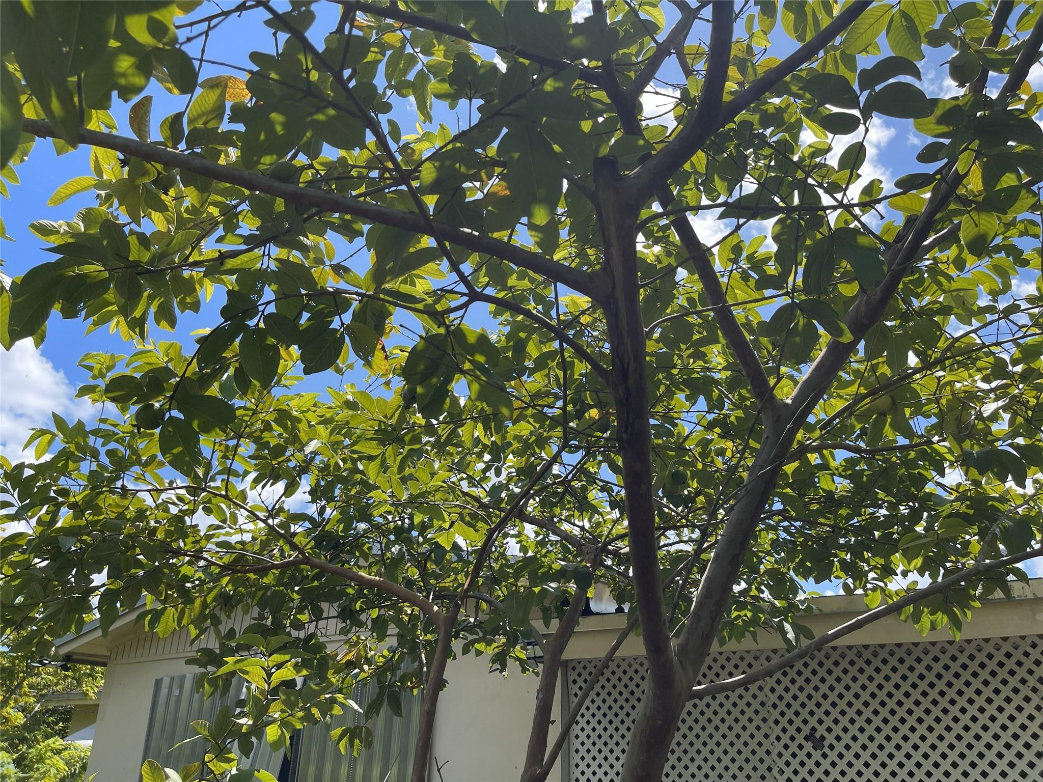 671 Northwest 38th Street Deerfield Beach, FL 33064 - Photo 44 of 49 Photo 44