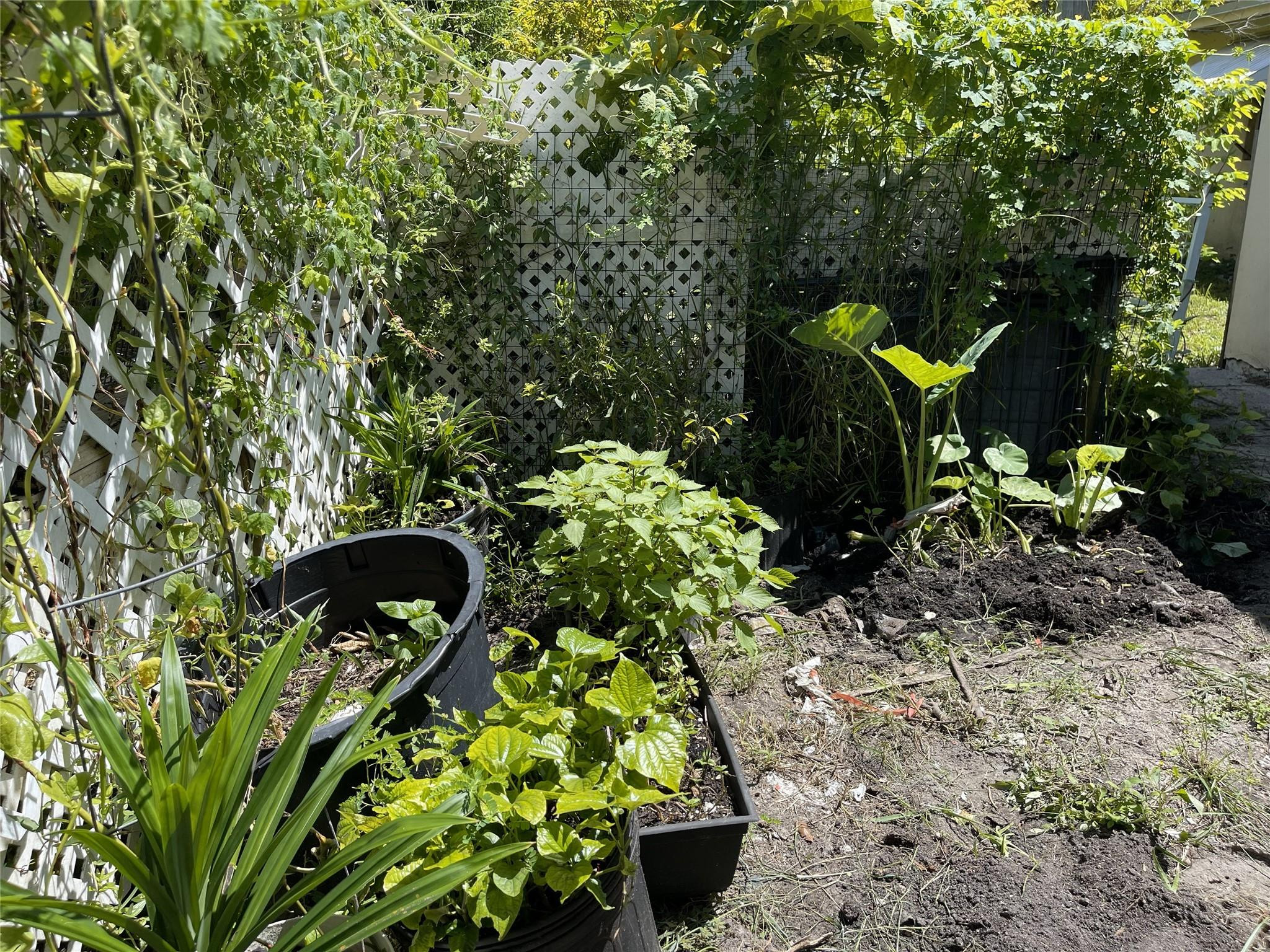 671 Northwest 38th Street Deerfield Beach, FL 33064 - Photo 46 of 49 Photo 46