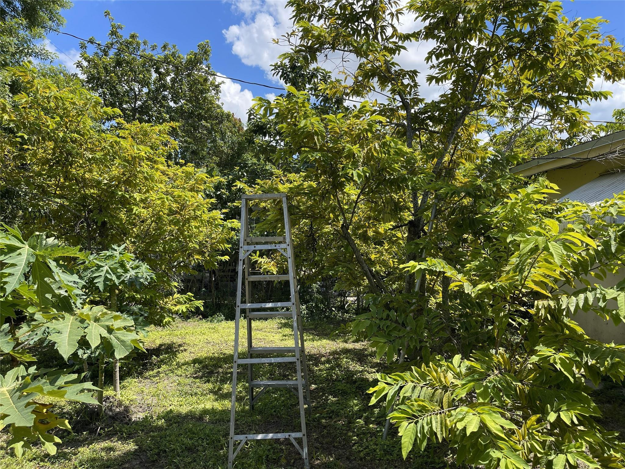 671 Northwest 38th Street Deerfield Beach, FL 33064 - Photo 48 of 49 Photo 48