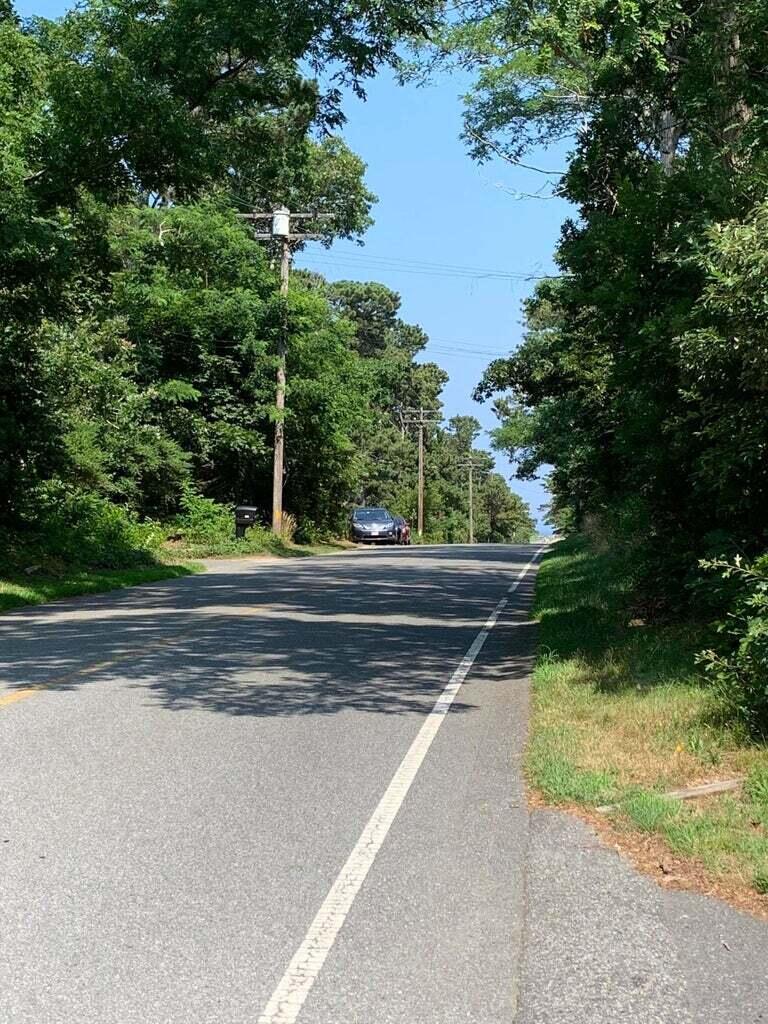 605 Cable Road Eastham, MA 02642 - Photo 11 of 25 a view of backyard with green space