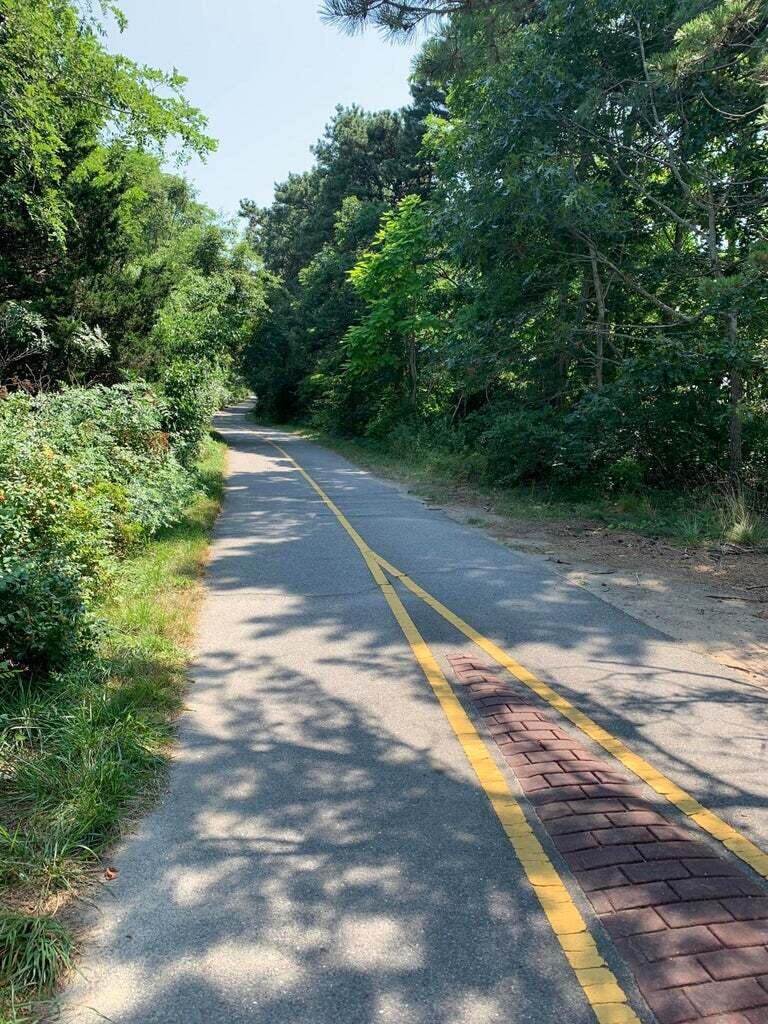 605 Cable Road Eastham, MA 02642 - Photo 19 of 25 a view of a yard with plants and trees