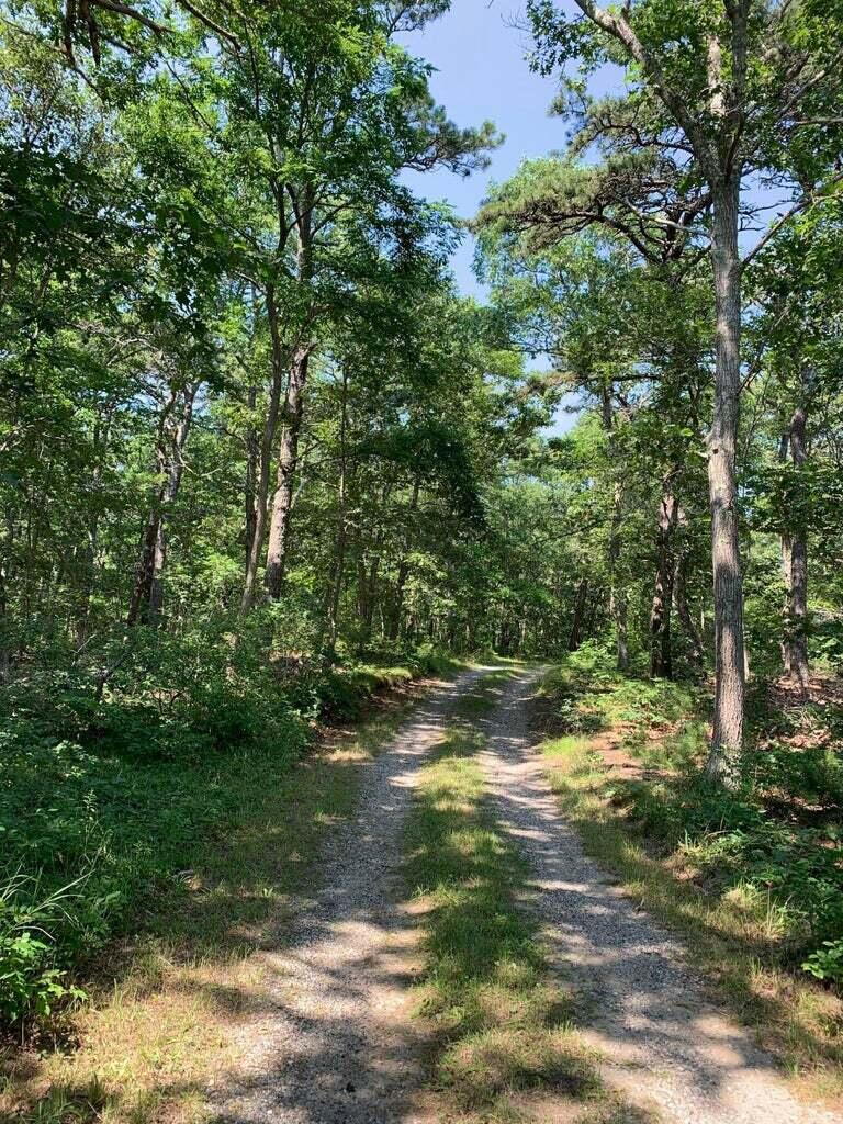 605 Cable Road Eastham, MA 02642 - Photo 3 of 25 a view of outdoor space with trees all around