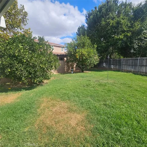 a view of a big yard with plants and large trees