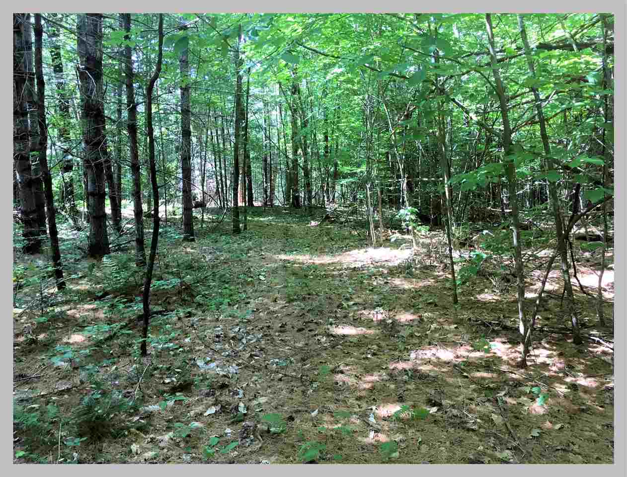 Lot #1 East Rumney Road Rumney, NH 03266 - Photo 5 of 7