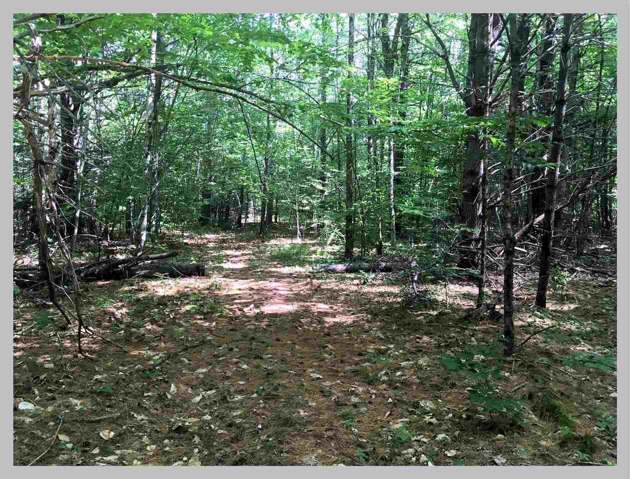 Lot #1 East Rumney Road Rumney, NH 03266 - Photo 6 of 7