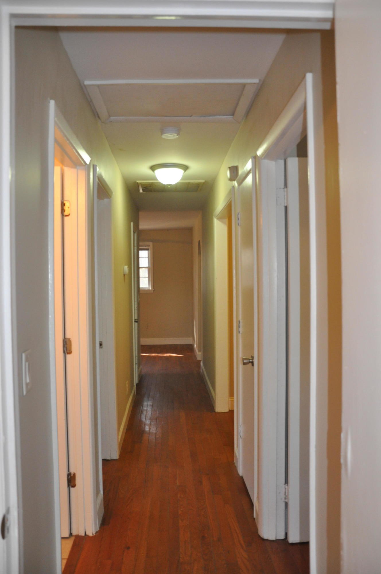 3797 Chisolm Road Johns Island, SC 29455 - Photo 15 of 22 DSC_1183